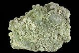 Green Prehnite Crystal Cluster - Morocco #80695-2